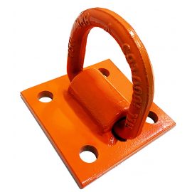 Product image of D Ring Wall Anchor